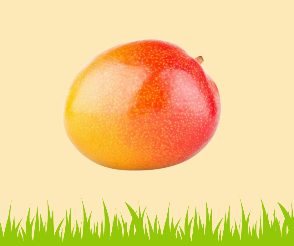 Mangue rouge