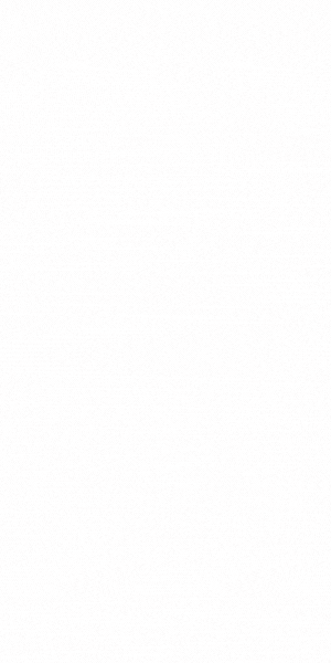 S020_V_P6.gif