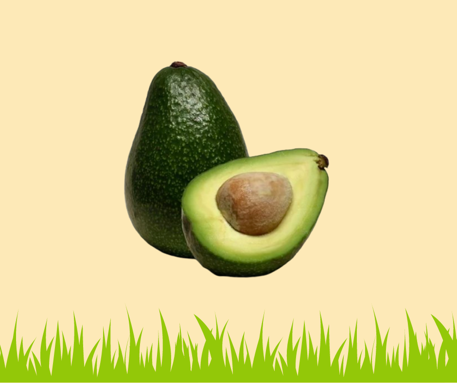 Avocat