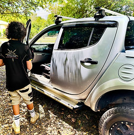 Tinted dual cab ute by Action Tint