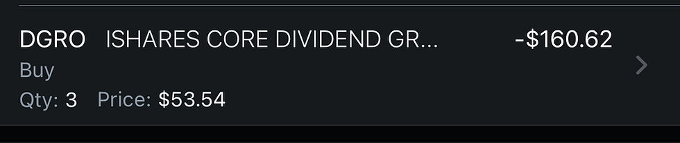 My Purchases for January in My ROTH IRA