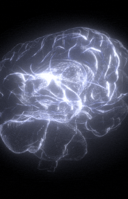IMG_8942.gif