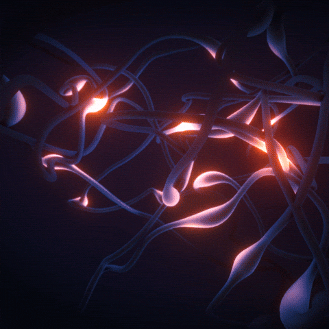 IMG_6655.gif
