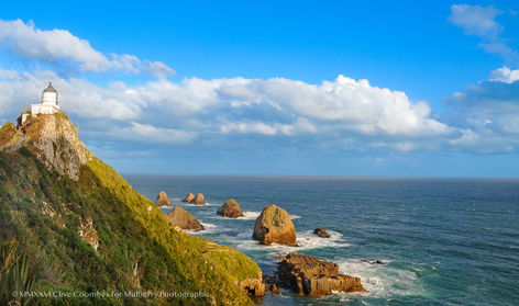 Nugget Point in the Catlins