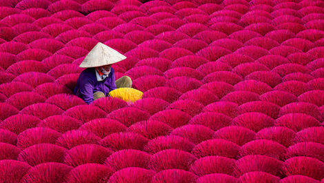 The North of Vietnam - Rachael Bowes