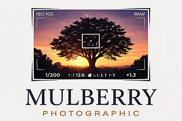 Mulberry White 2x3-1.jpg