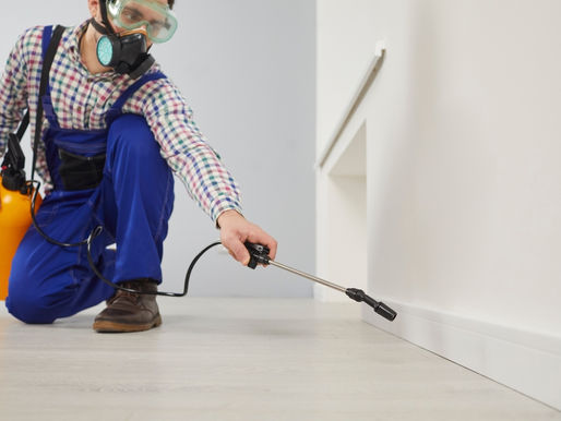 Pest Control Clontarf