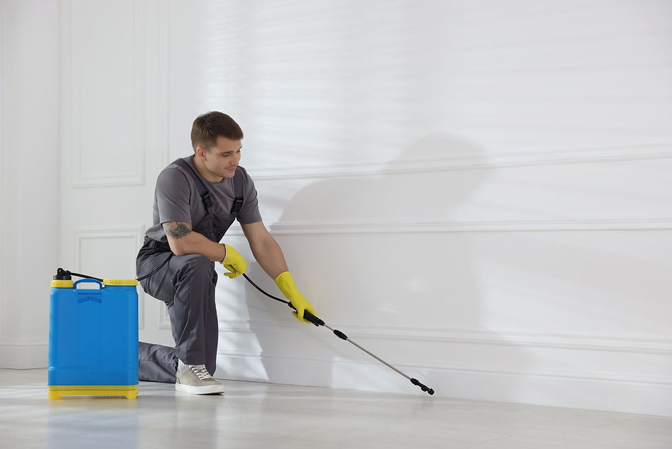 Termite Control