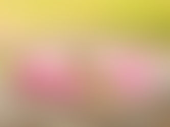 handmade fabric dog collars