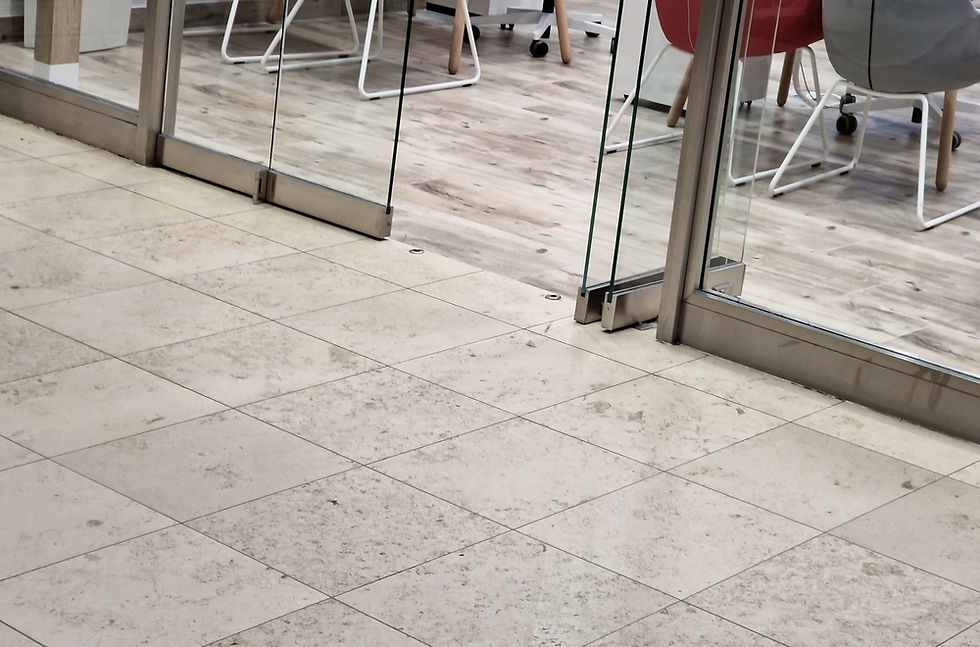 frameless glass door
