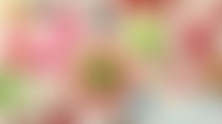 The Ultimate Guide to Ethically Buying Dog Products