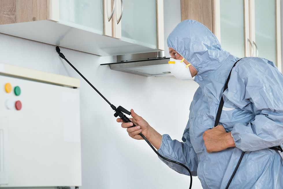 Termite Control