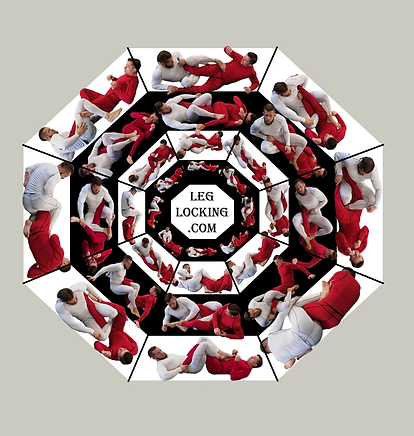 Octagon Gray.png