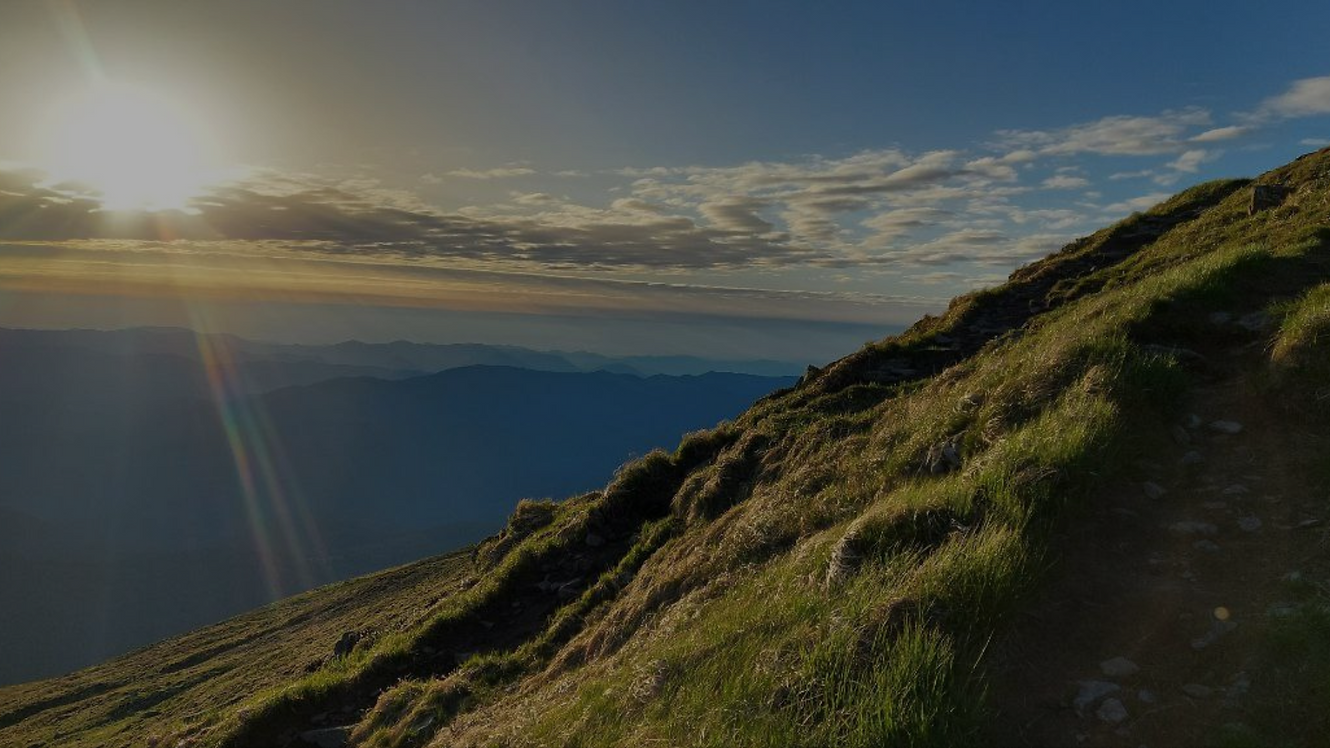 Untitled design (21).png