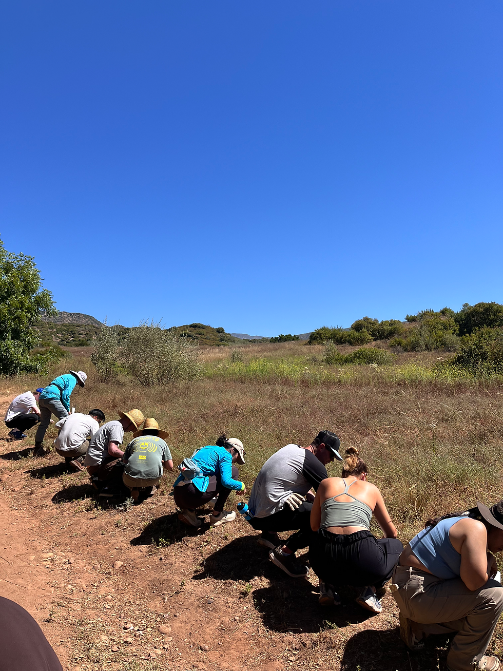 Volunteer With Thrive & OVLC!