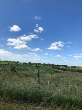 The Kansas Flint Hills as they look at the end of Reyna's driveway on a beautiful spring afternoon.