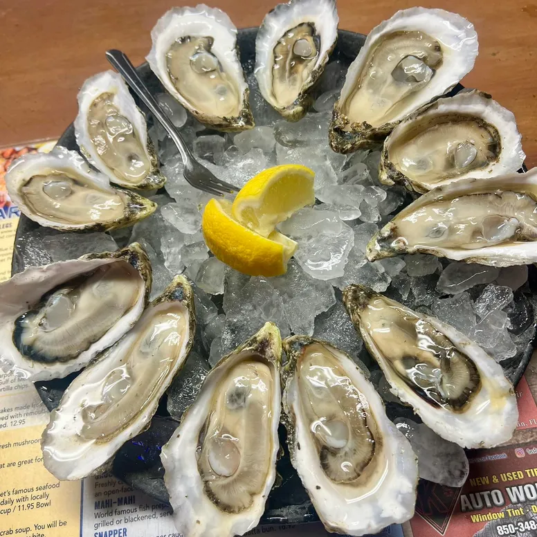 oysters