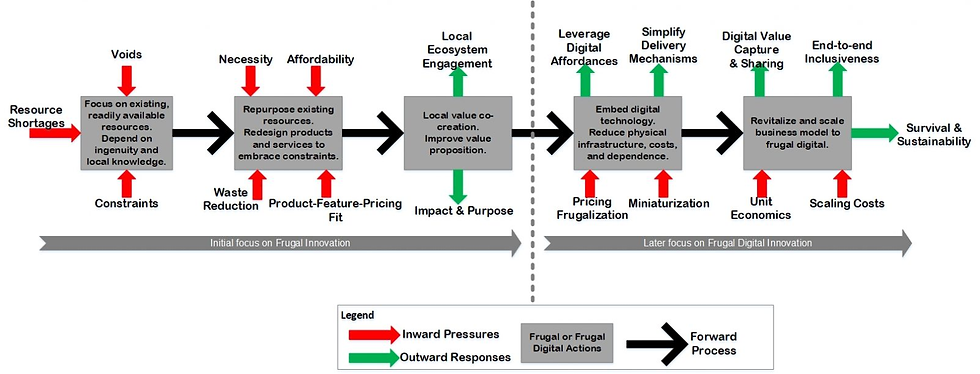 Frugal innovation process