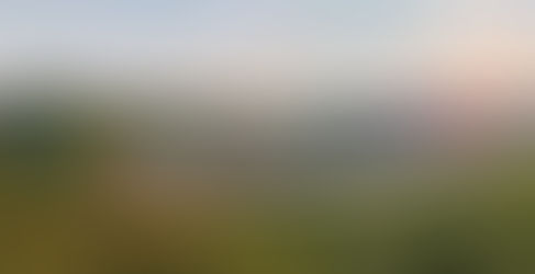 Moselské Rieslingy na Výtoni!