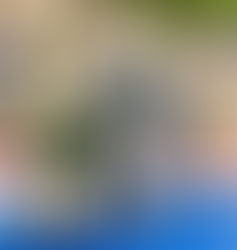 Zahrádky rozjíždíme slevou na Champagne