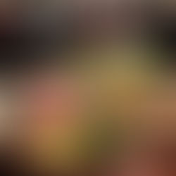 Degustace tataráků a vín v Dejvicích