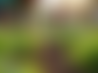 How Community Charities Transform Local Lives