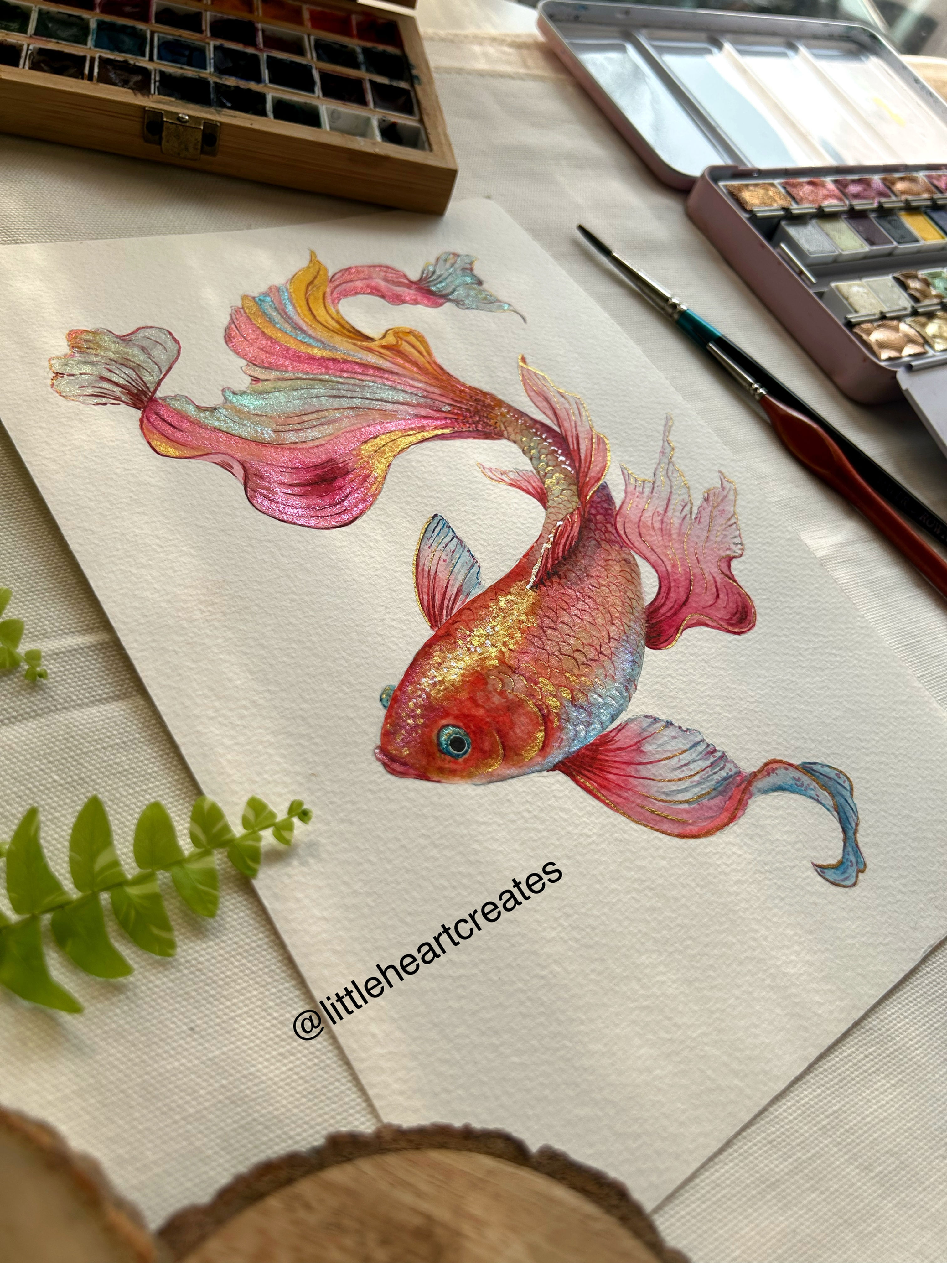 Swimming with Shimmers