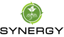 synergyLogo.gif