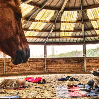 Voyage sonore au handpan en immersion avec les chevaux