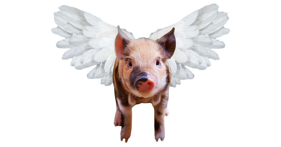 If pigs could fly Workload Rebellion wide.jpg