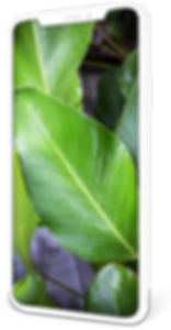 Phone Clay White (2) with Background (2)