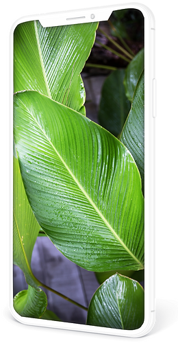 Phone Clay White (2) with Background (2)