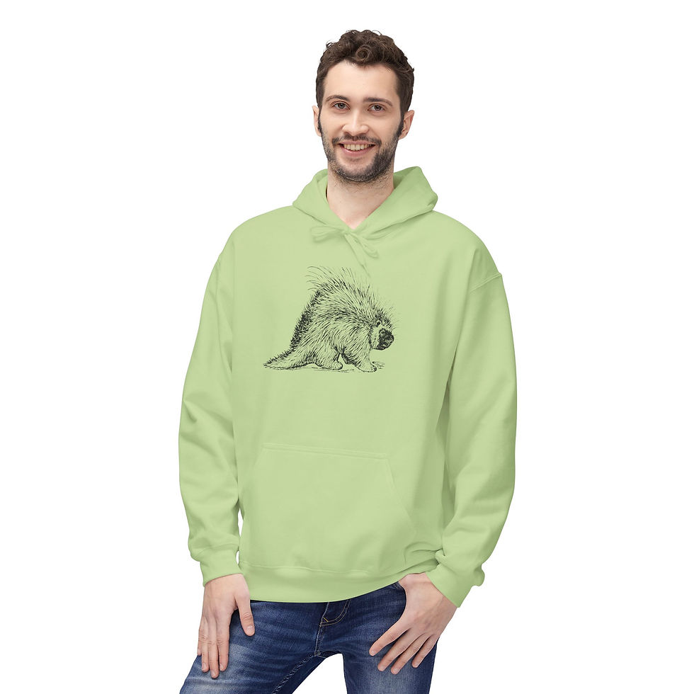 Thumbnail: porcupine hoodie front view