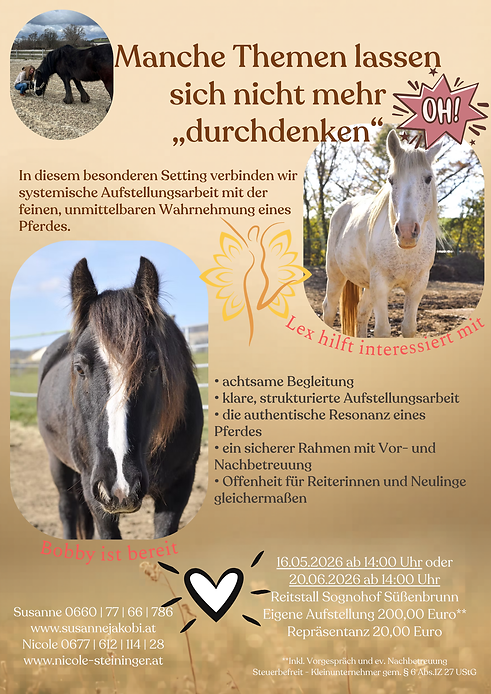 AUF mit Pferd_Süßenbrunn_16.05..png