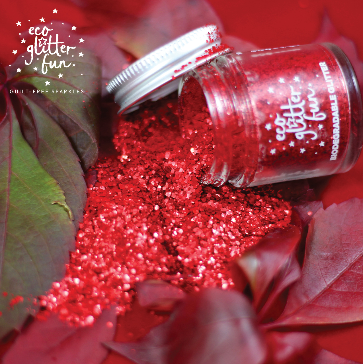 Biodegradable Glitter Eco Glitter Fun