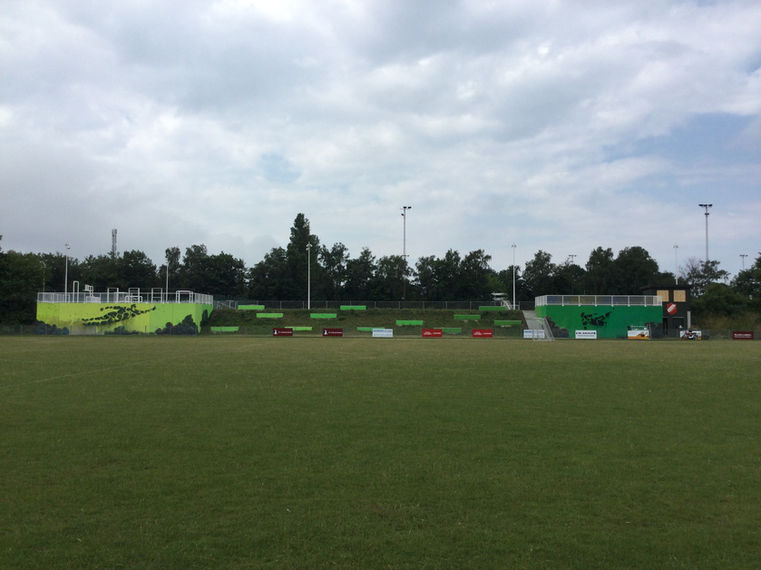 Billede fra udsmykningen ved Jægerspris stadion. Billedet er taget på afstand og viser begge de store vægmalerier med motiver der både er inspireret af sportensverden og af dyrelivet i den omgivende natur. 