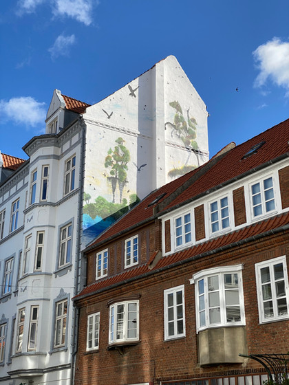 hestedamsstrdet-horsens