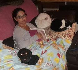 23794857_1641424965880567_4234091719282675876_n