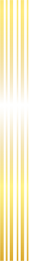 kisspng-stripe-line-icon-vector-painted-gold-frame-5a7bbced6b4c21.0353258115180587334395.p