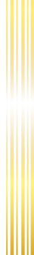 kisspng-stripe-line-icon-vector-painted-gold-frame-5a7bbced6b4c21.0353258115180587334395.p