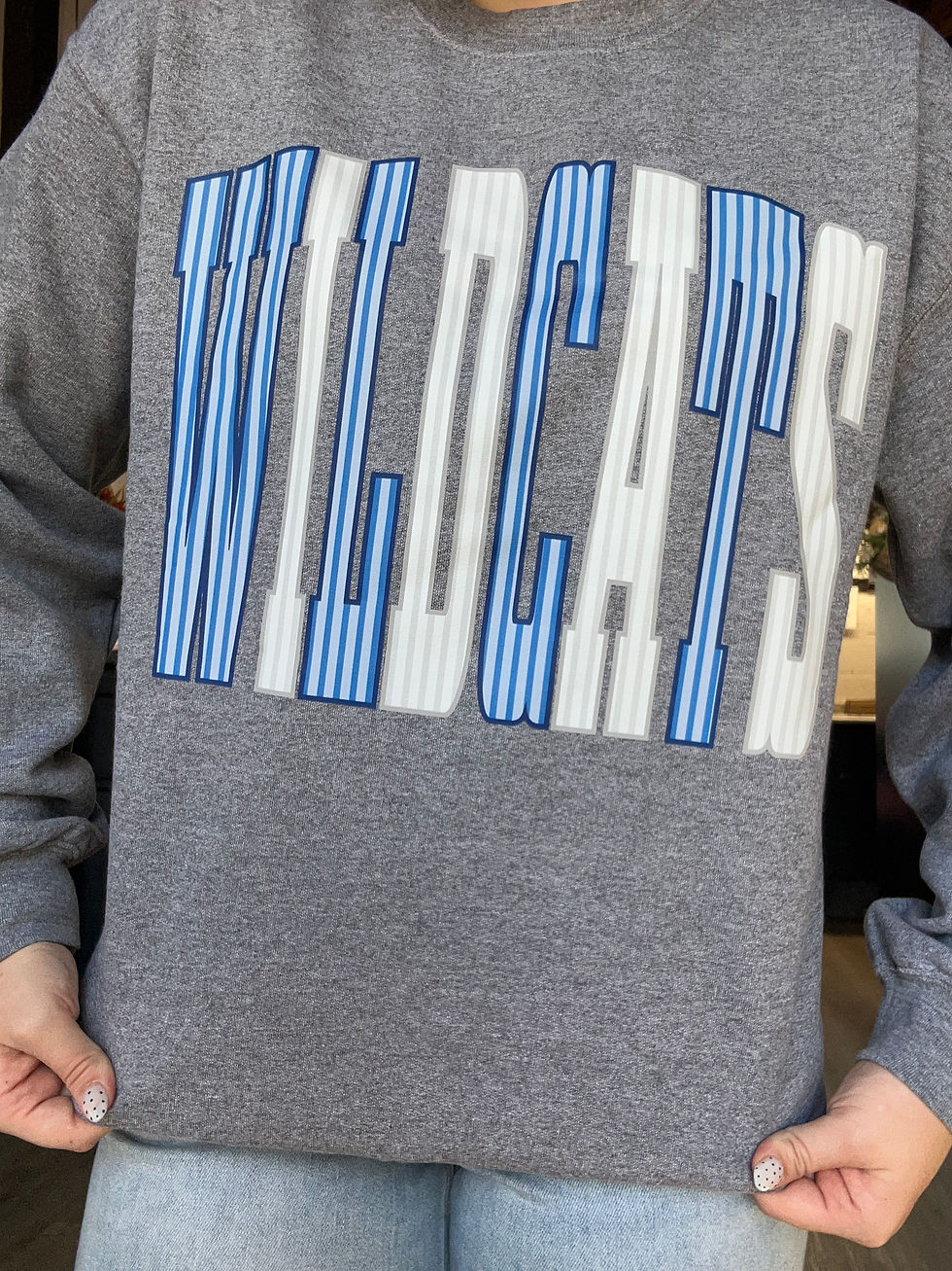 Thumbnail: Wildcats Striped Crew