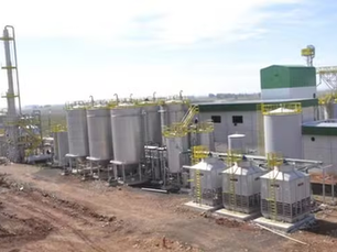 Productor rural invierte en la mayor planta de etanol de trigo de RS