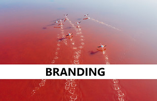 Branding.jpg