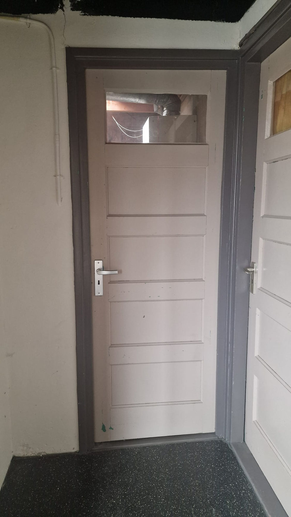 Shaun-attic-bos-en-lommer1.jpeg