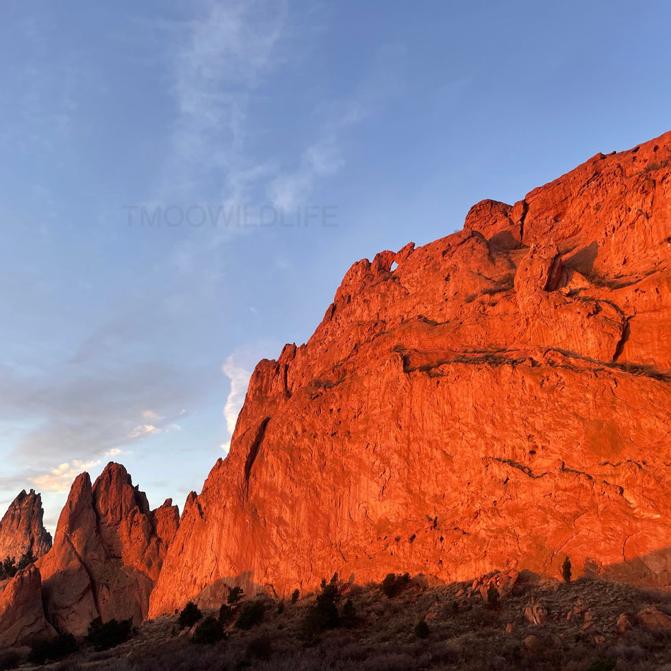 Colorado, Utah, Arizona, 2022