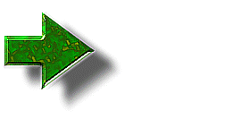 117074242_3509984_117038088_3509984_6145