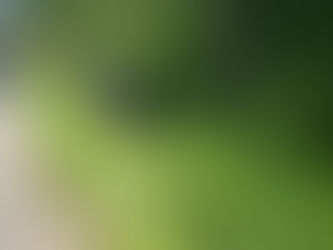 TE - FAHRZEUGBERGUNG