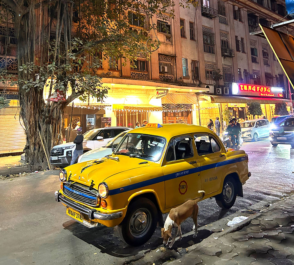 Yellow Yellow – You The Fellow!