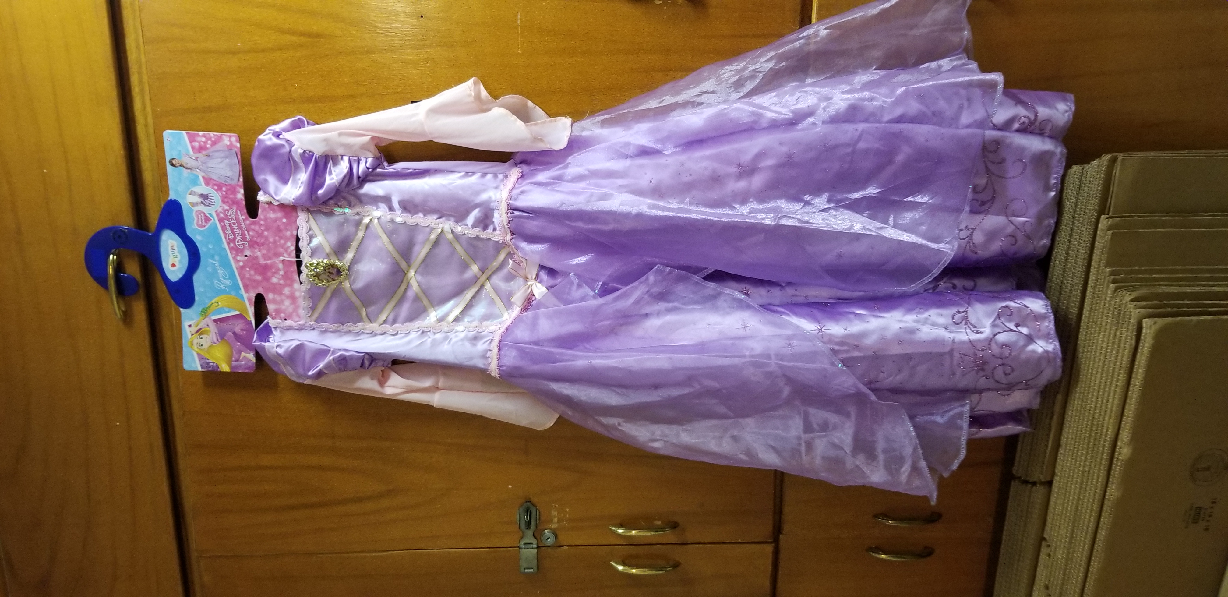 Disney Princess Costume