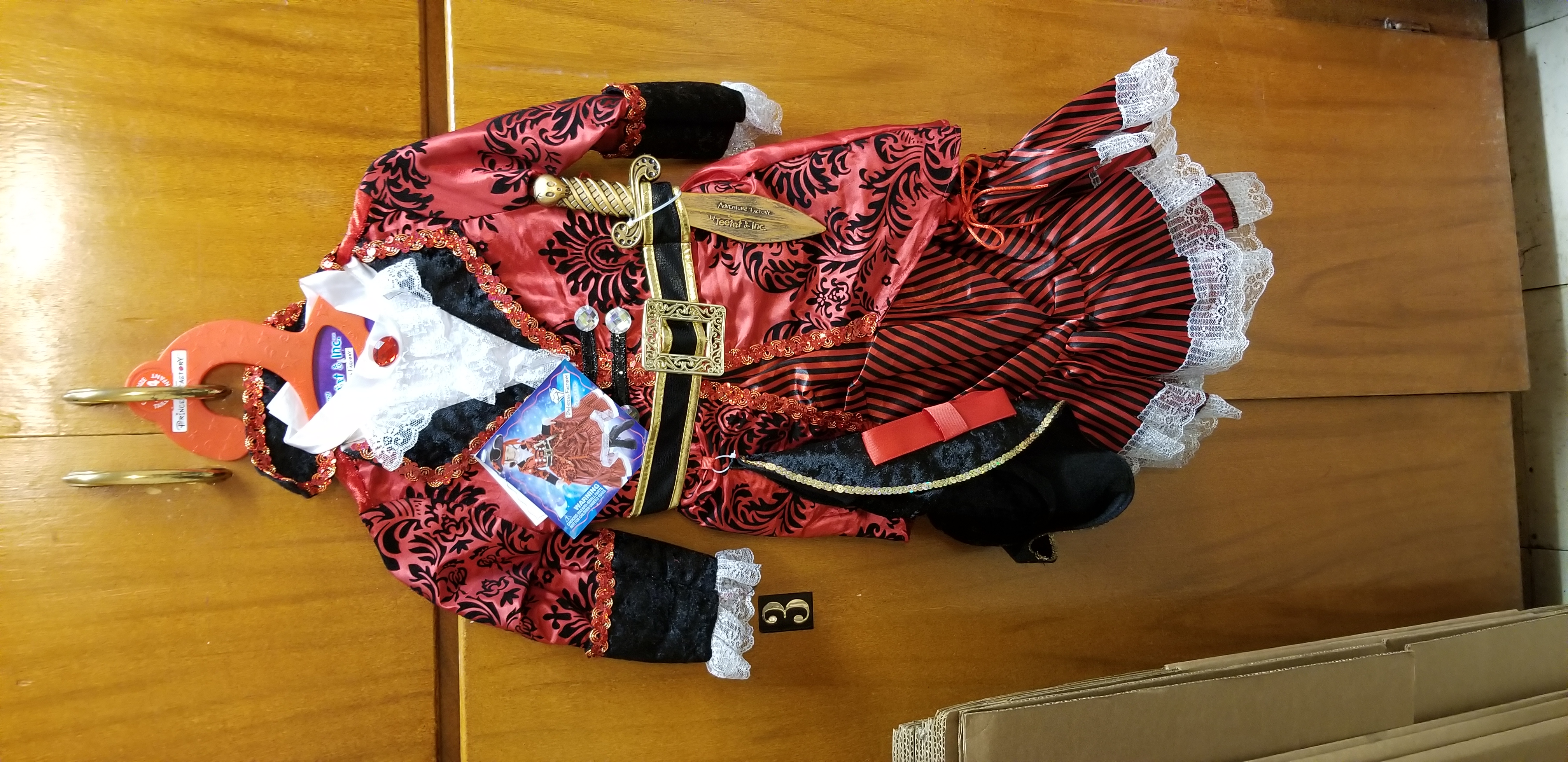 Pirate Princess Costume
